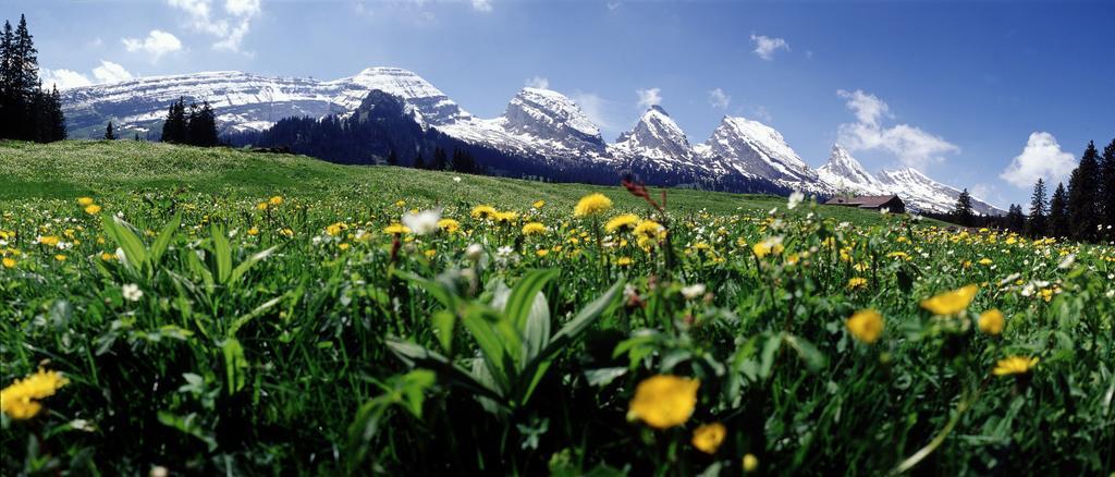 Schwendi Lodge Unterwasser Екстериор снимка