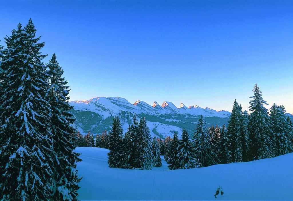 Schwendi Lodge Unterwasser Екстериор снимка