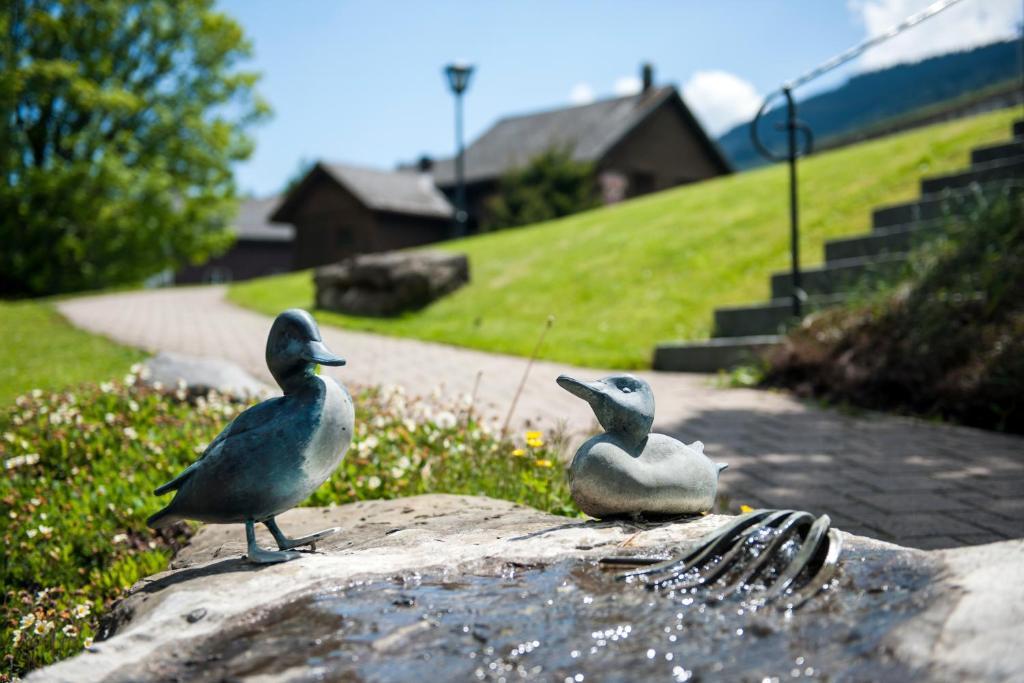 Schwendi Lodge Unterwasser Екстериор снимка